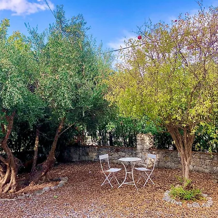The Olive Grove * Almirida