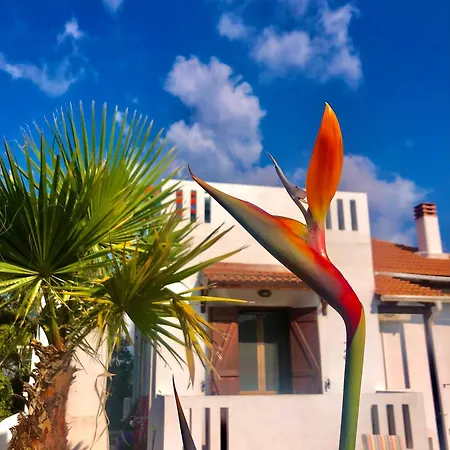 Villa The Olive Grove *