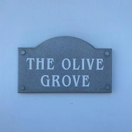 The Olive Grove *